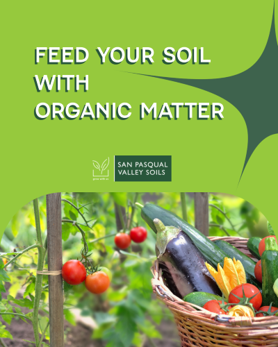 Feed your Soil with Organic Matter | SPV Soils