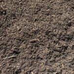 Forage Soil for Dairy Support Program | SPV Soils