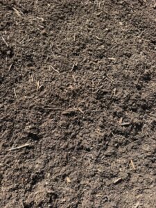 Forage Soil for Dairy Support Program | SPV Soils