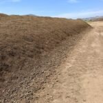 Forage Soil on Fields for Dairy Support Program | SPV Soils