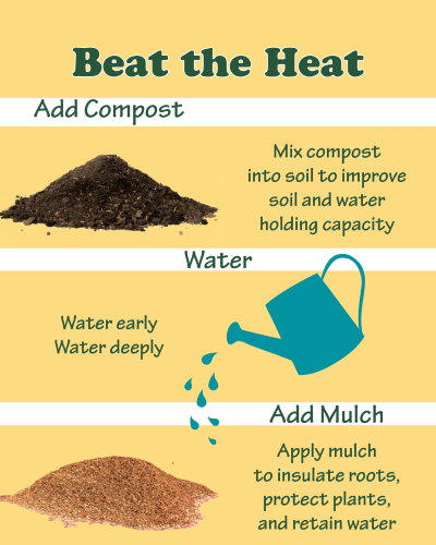 Beat the heat with compost & mulch | SPV Soils
